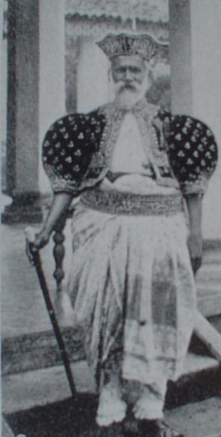Palipane in fancy dress