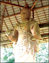 Maligavila Surya Deva
