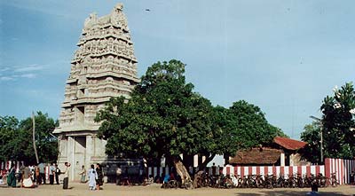 Kannaki Amman Kovil, Vattappalai, Sri Lanka